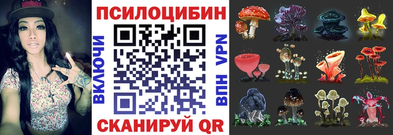 купить наркотики цена  Севск  Псилоцибиновые грибы MAGIC MUSHROOMS 
